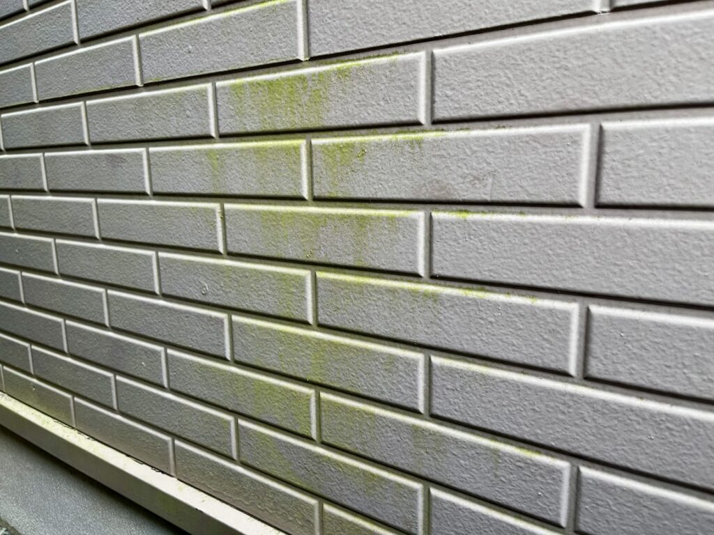 苔のついた外壁