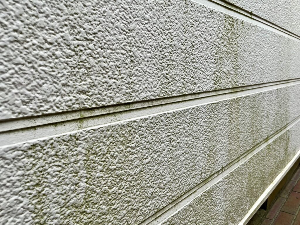 コケやカビが付着した外壁