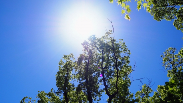 初夏の行船公園