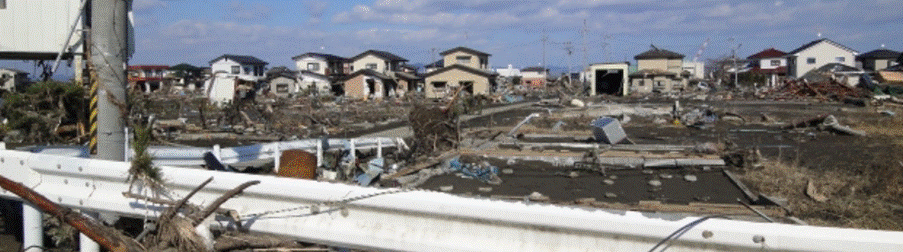 地震や津波で被災した住宅地の風景(倒壊や瓦礫が広がる被害の様子)