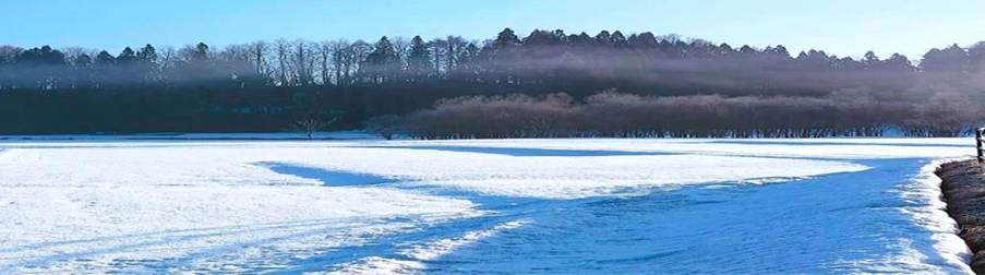 雪に覆われた田園風景と朝霧に包まれた森林：冬の自然と地方の暮らしのイメージ