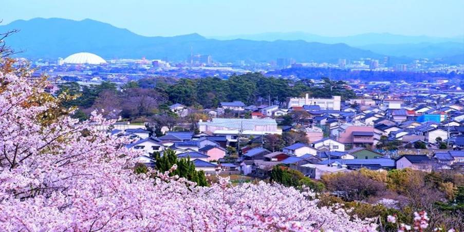 春の桜が咲き誇る日本の住宅街と山並みの風景、地域の魅力を伝える季節感ある景観